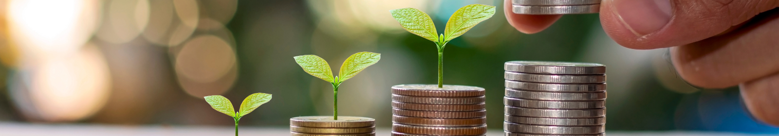 stacks of coins with sprouts